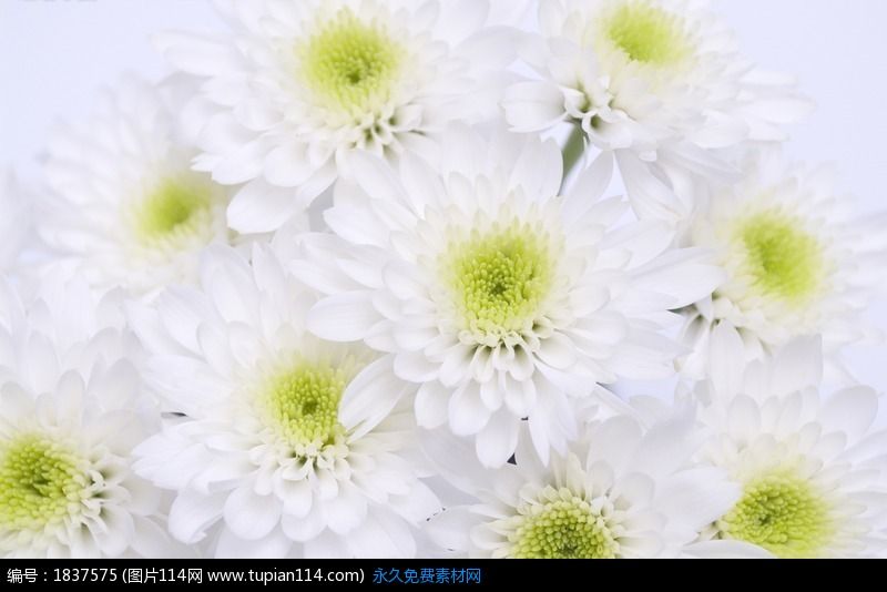 膝盖肿痛纠缠医仙妙法神验